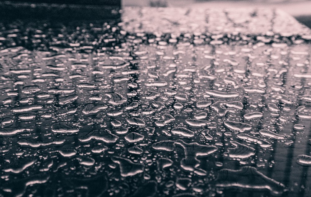 Photograph by Дмитрий Трепольский