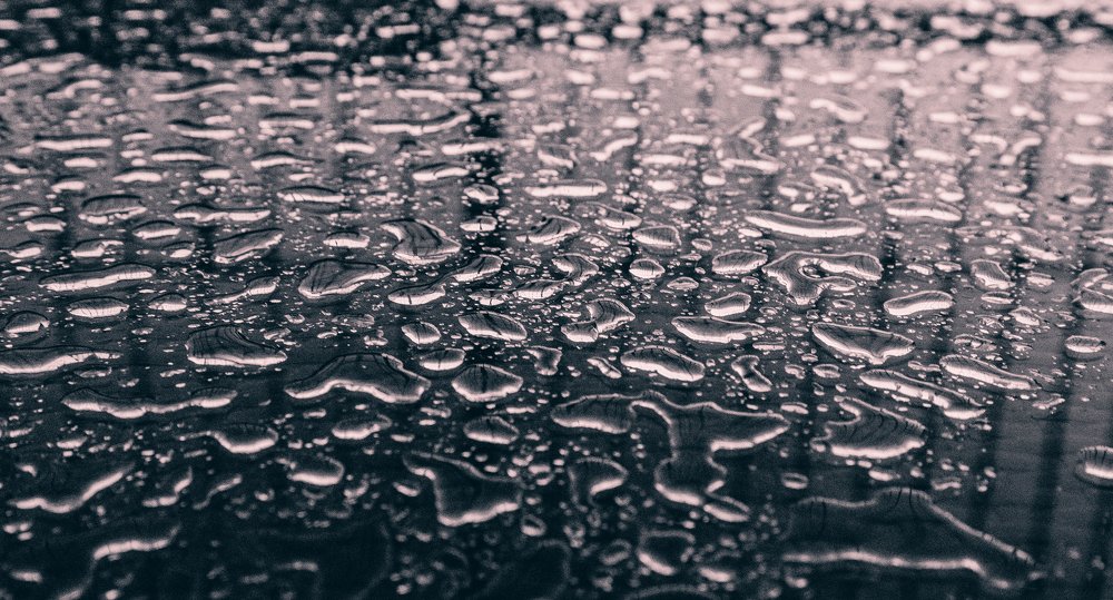 Photograph by Дмитрий Трепольский