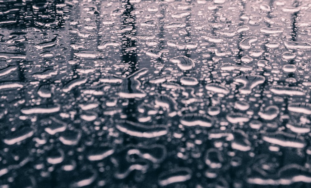 Photograph by Дмитрий Трепольский