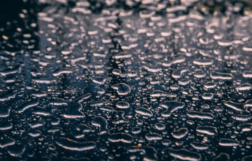 Photograph by Дмитрий Трепольский