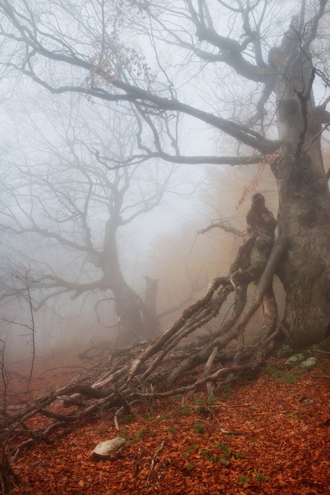 Photograph by Алексей Агеев