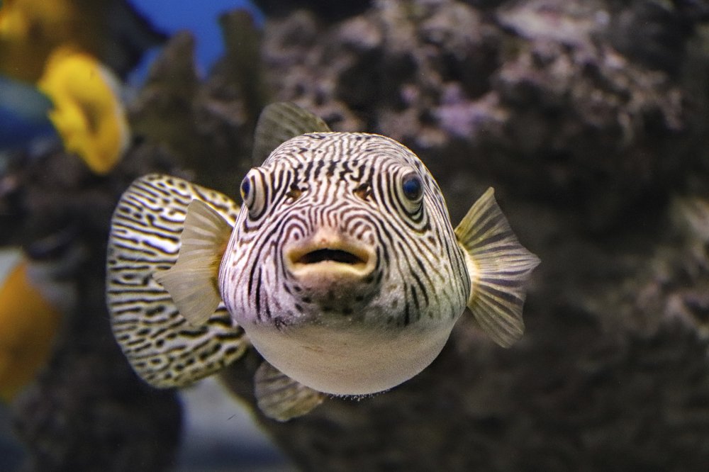 Photograph by Лариса Рулёва