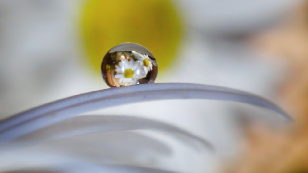 Photograph by Елена Силантьева