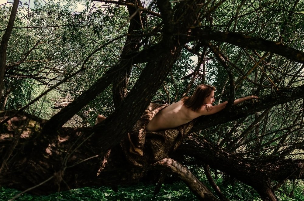 Photograph by Валентина Козлова