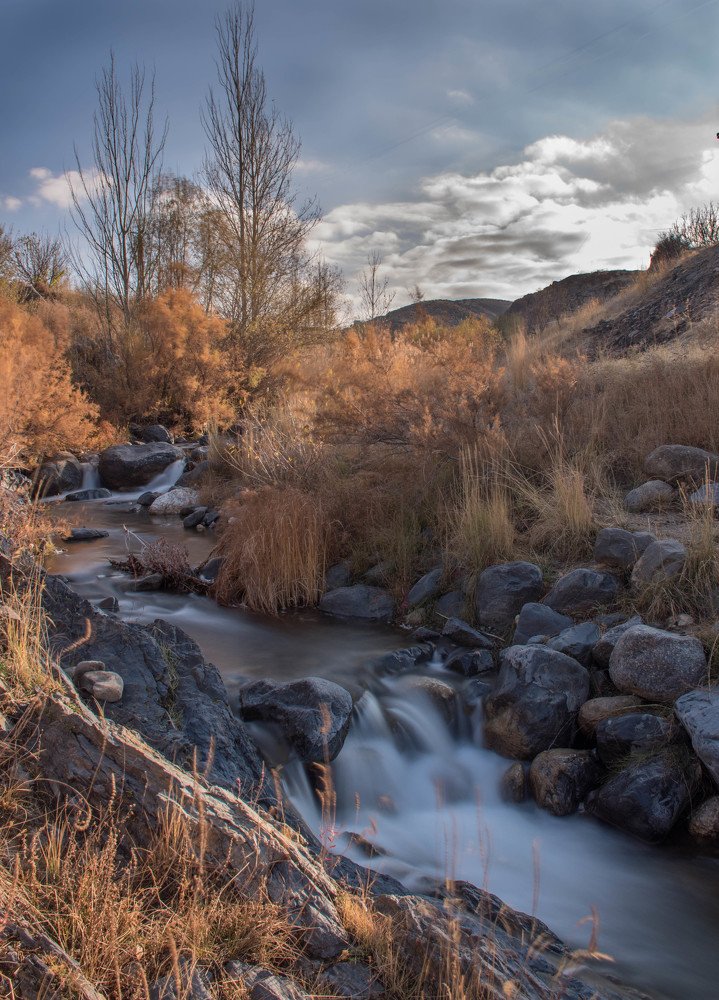 Photograph by Elham Khanpour