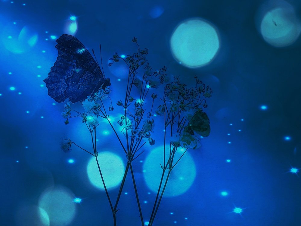 Photograph by Алеся Писнова