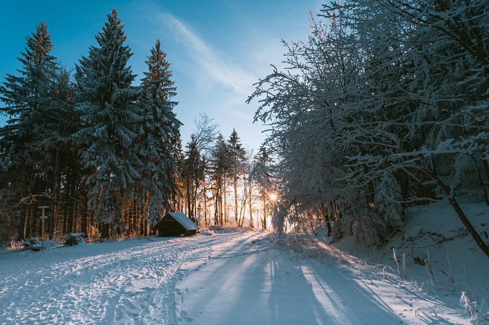 Photograph by Petr Ovsík