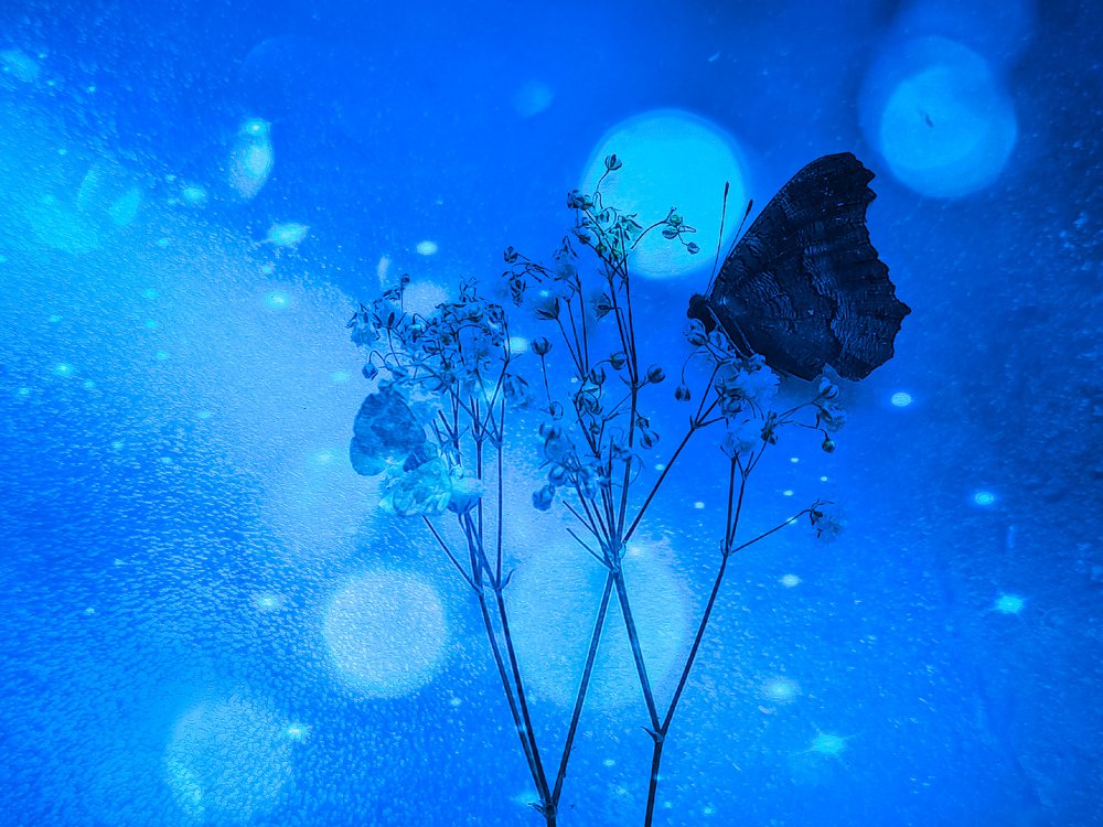 Photograph by Алеся Писнова