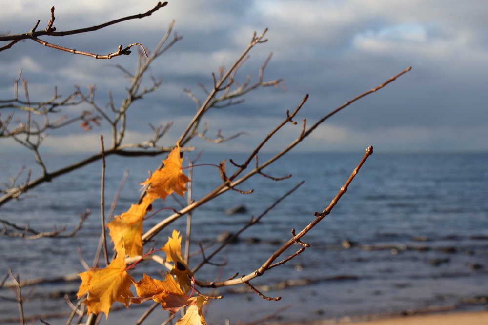 Photograph by Валентина