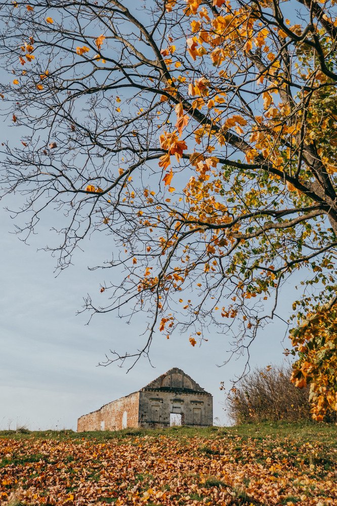 Photograph by Сергей