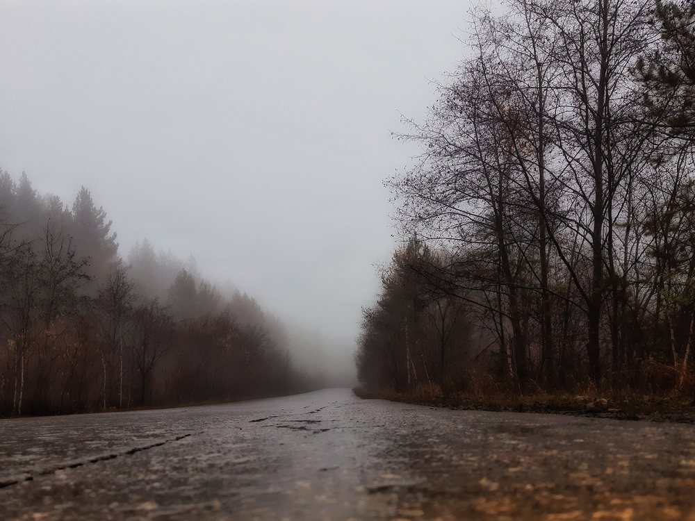 Photograph by Светлана Лехмус