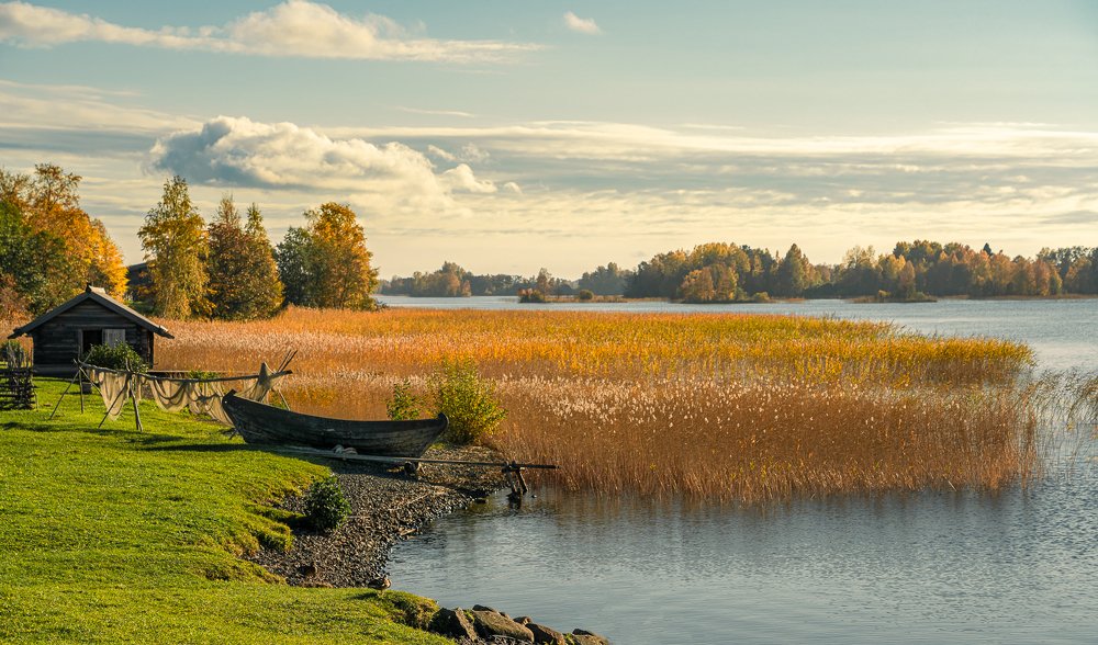Фотография автора Вадим Жигулин