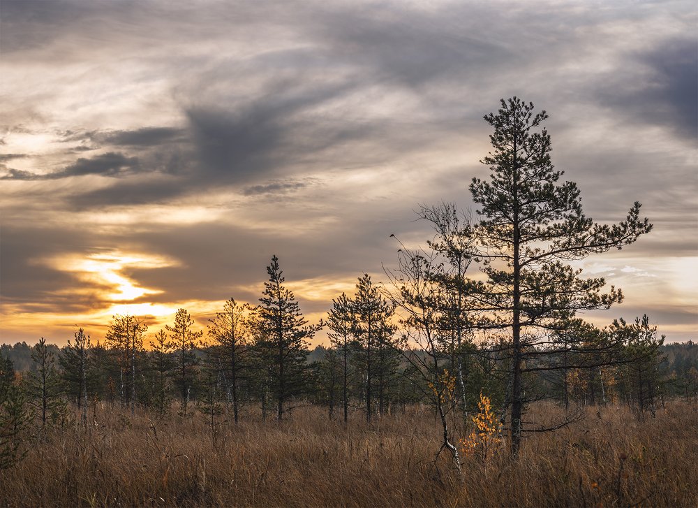 Photograph by Татьяна Слёзкина