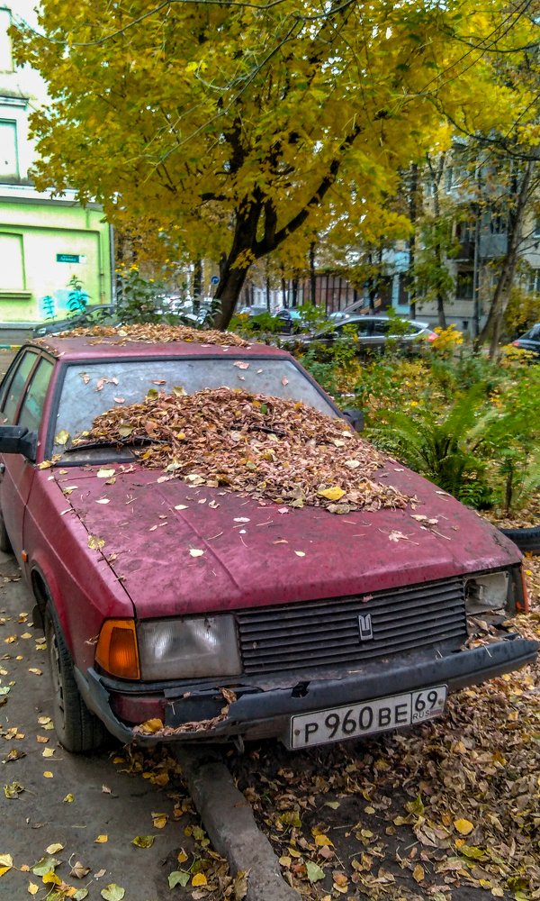 Photograph by Дмитрий Михайлов