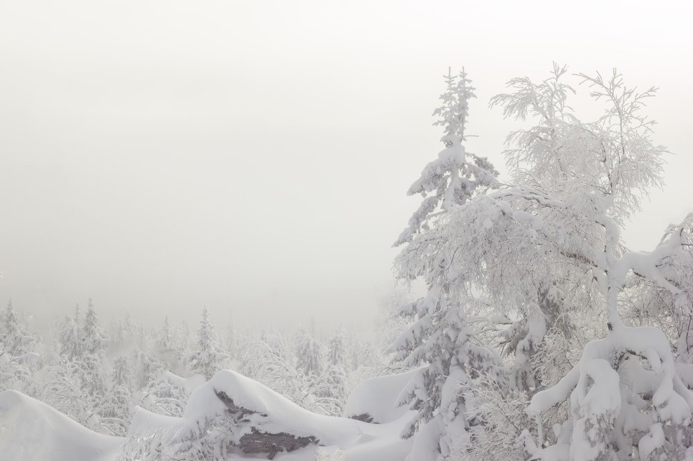 Photograph by Анна Ополихина