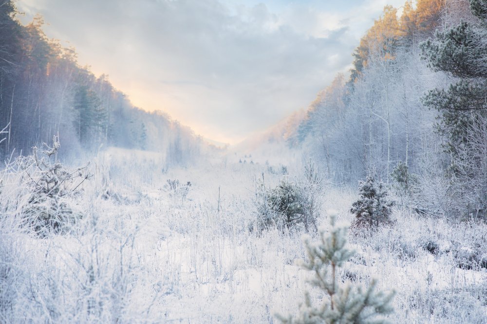 Photograph by Dasha Zueva