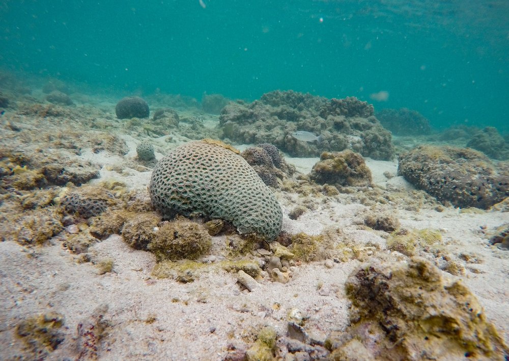 Photograph by Farshad Yazdankhah