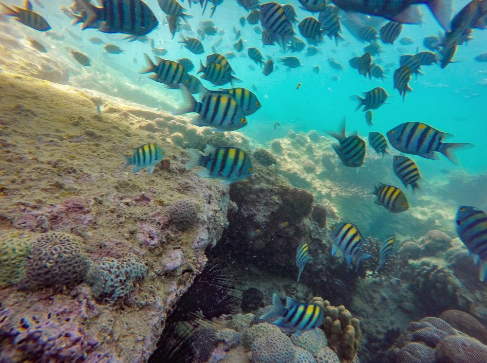 Photograph by Farshad Yazdankhah