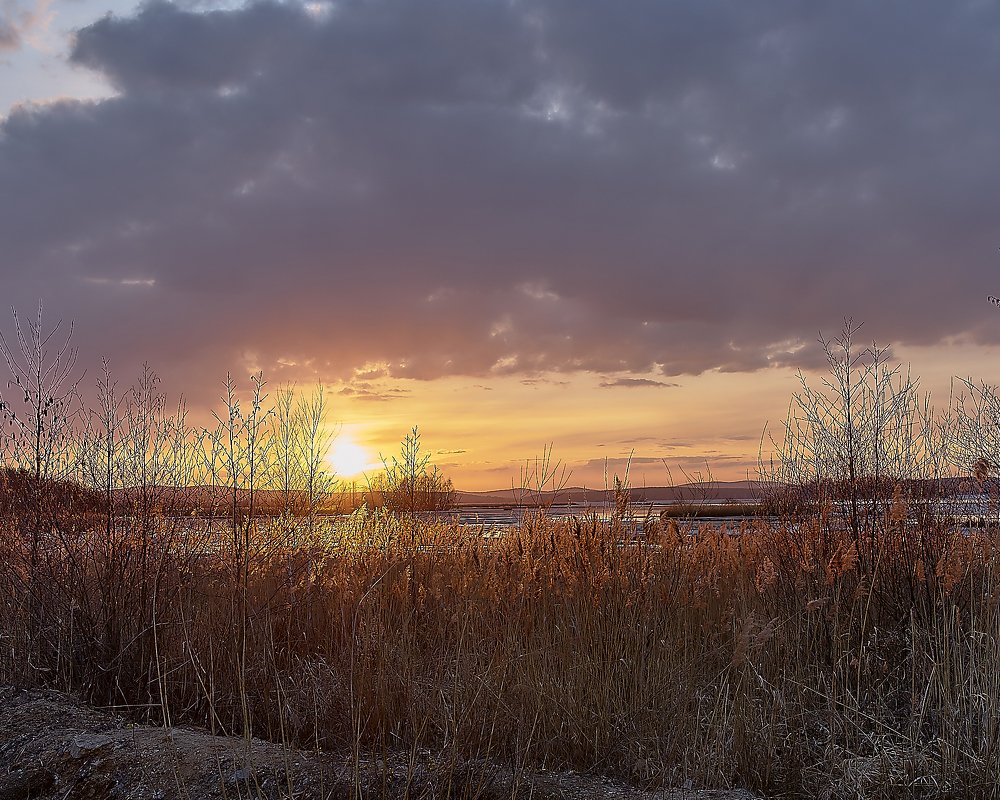 Photograph by Елена Мормоль