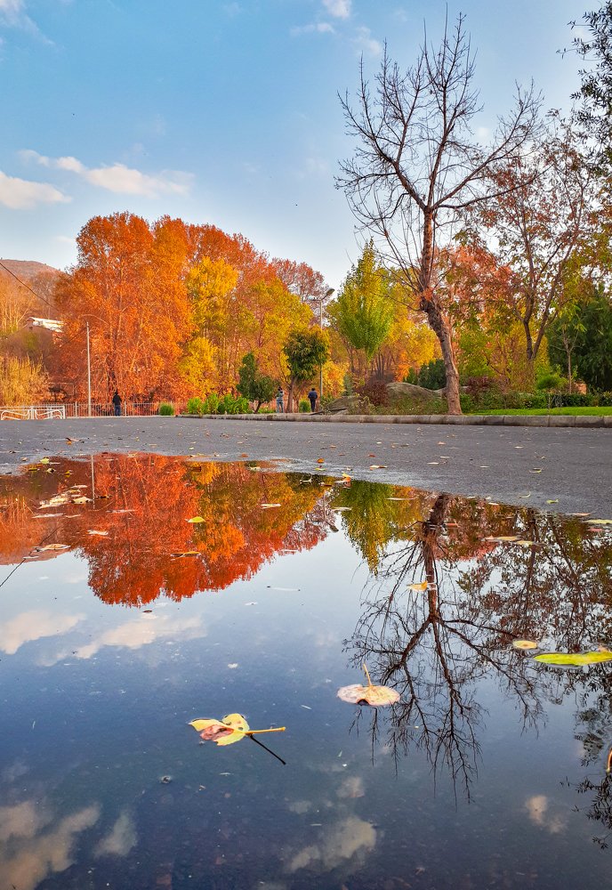 Photograph by Farshad Yazdankhah