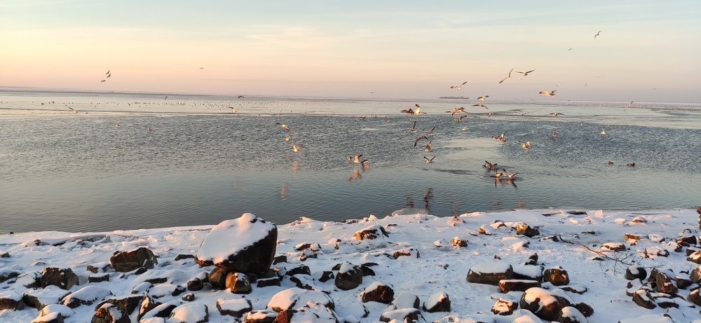 Photograph by Галина