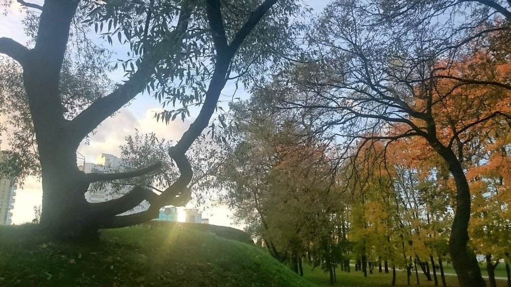 Осенний Минск