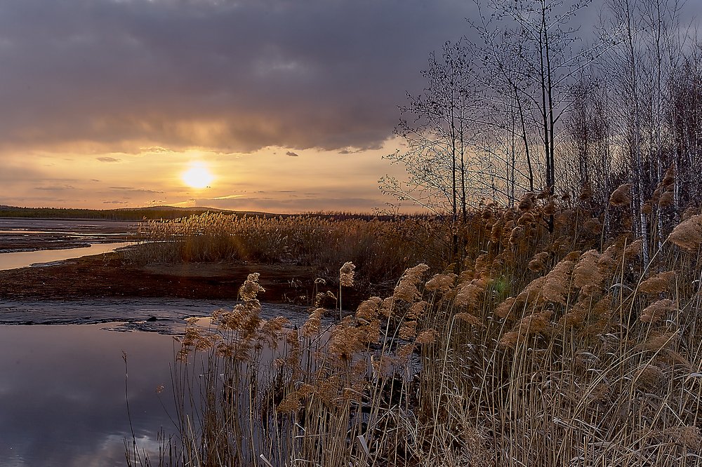 Photograph by Елена Мормоль