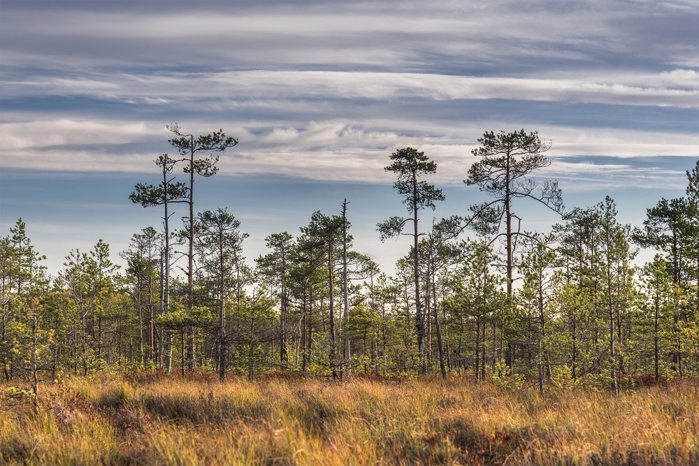 Photograph by Татьяна Слёзкина