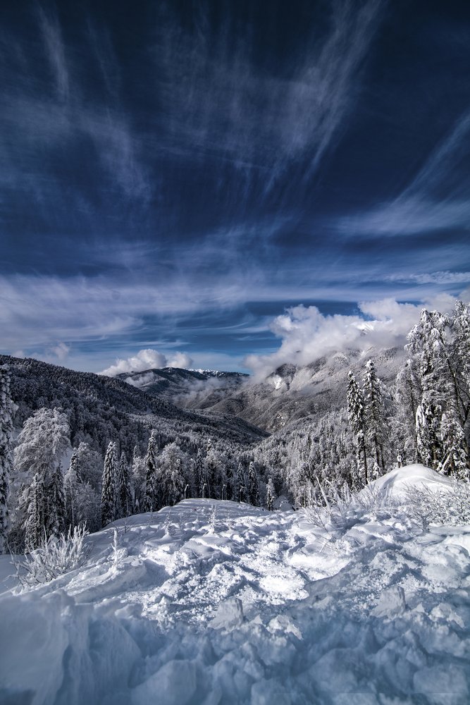 Photograph by Михаил Четвертков