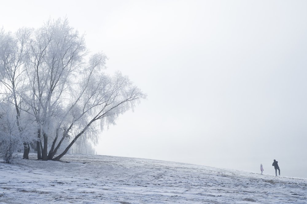 Photograph by Михаил Четвертков