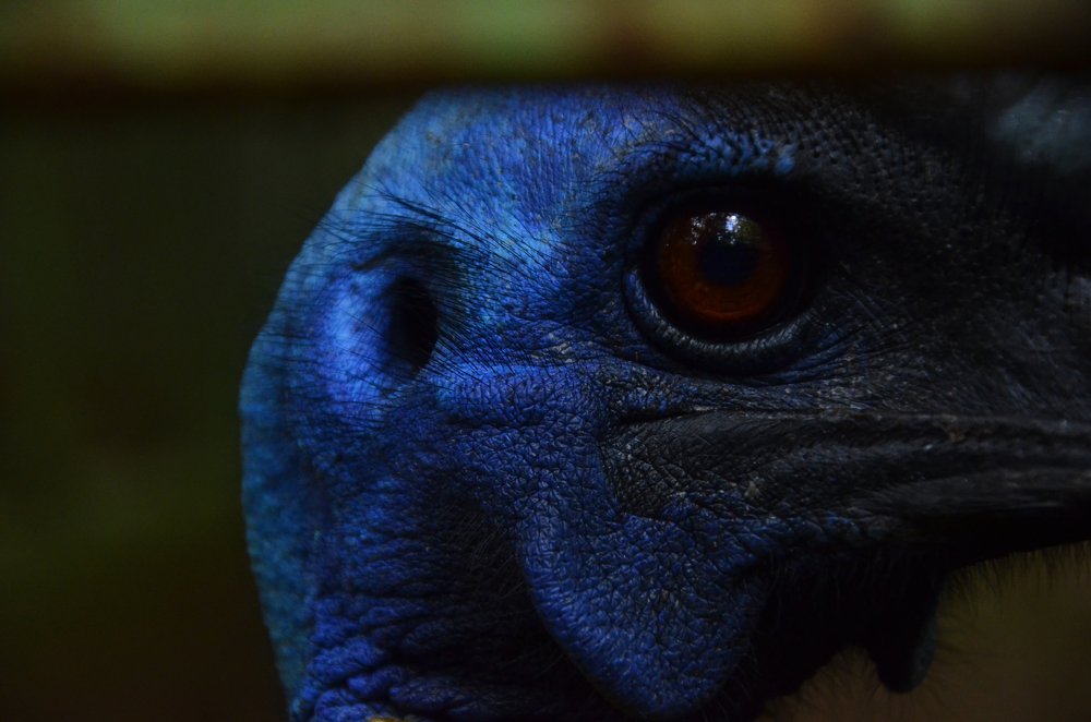 Photograph by Cahya Nugraha