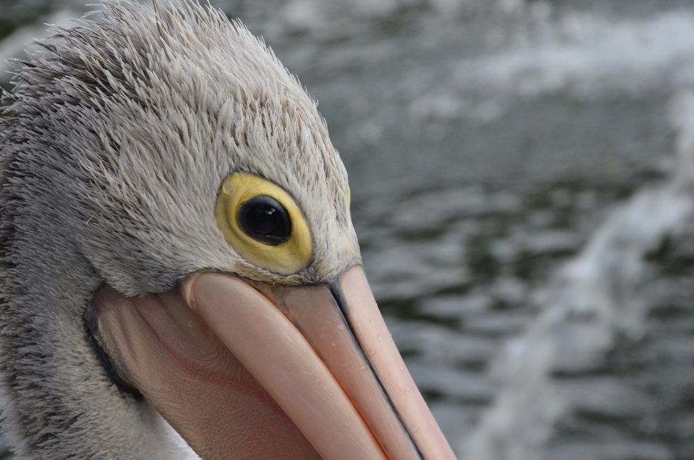 Photograph by Cahya Nugraha