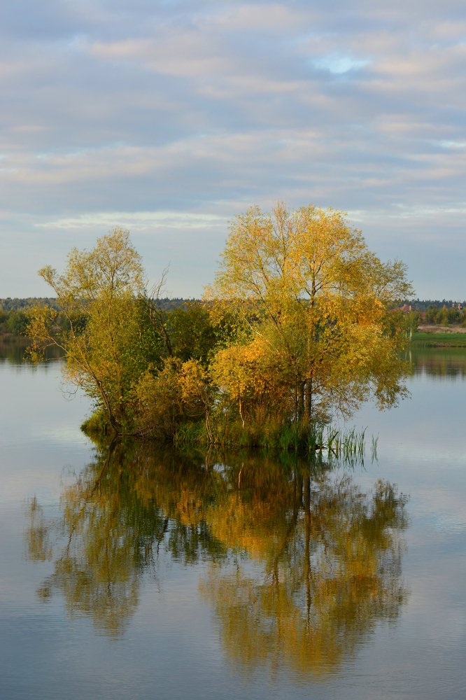 Photograph by Анатолий Орлов