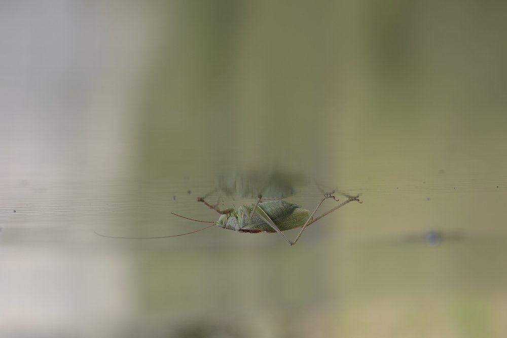 Photograph by Евгений Васильев