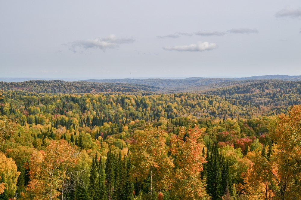 Photograph by Константин Пелых