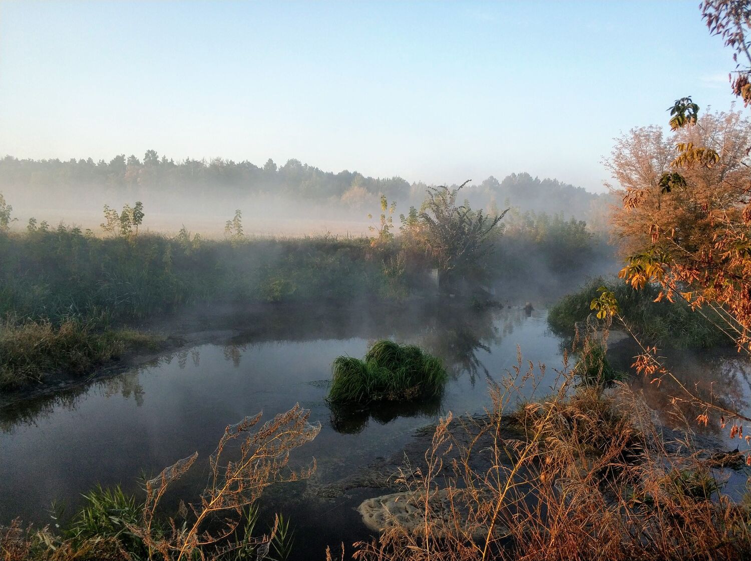 Photo #5376145
