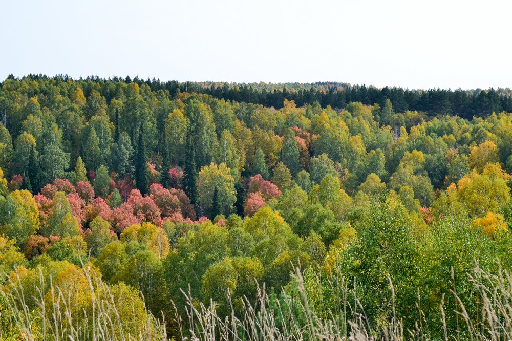 Photograph by Константин Пелых