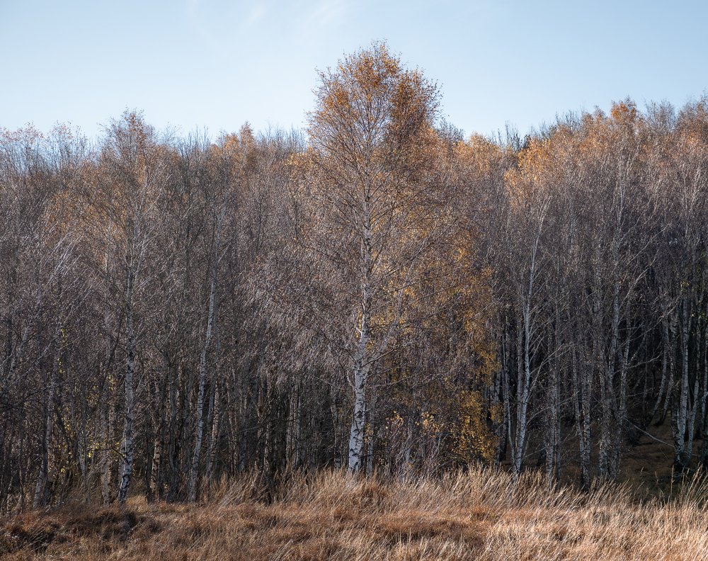 Photograph by Jernej Peljhan