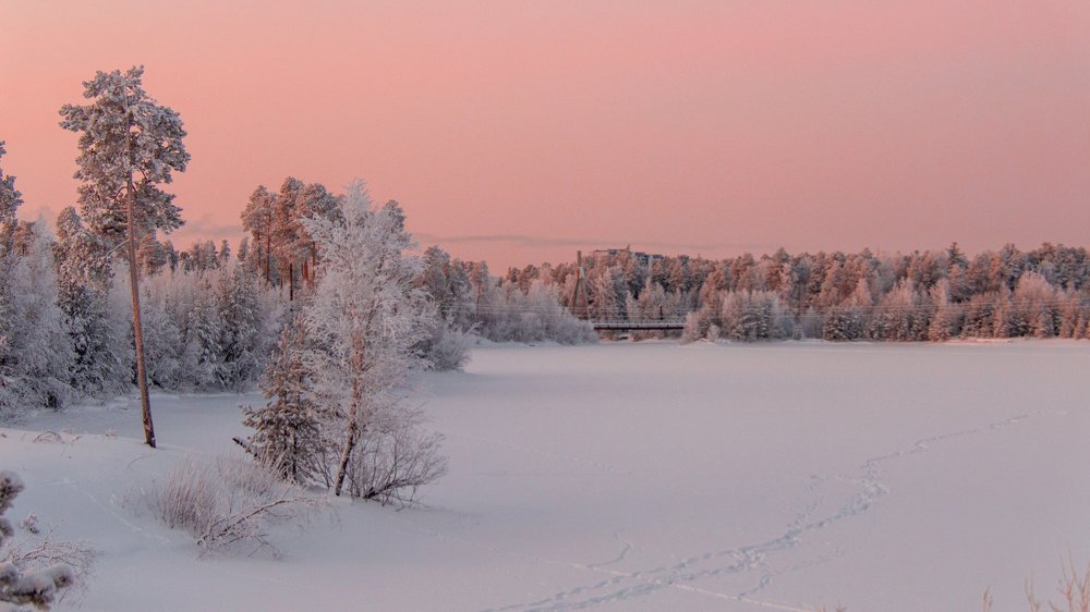 Photograph by Константин Михайлов