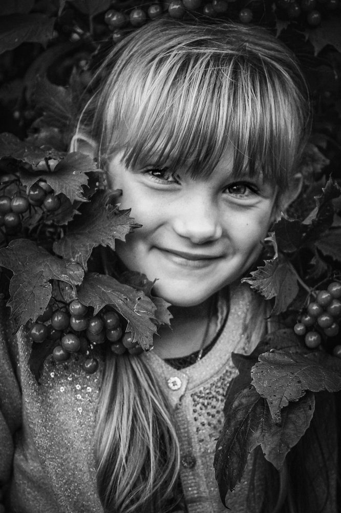 Калина красная .