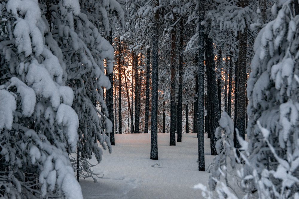 Photograph by Константин Михайлов