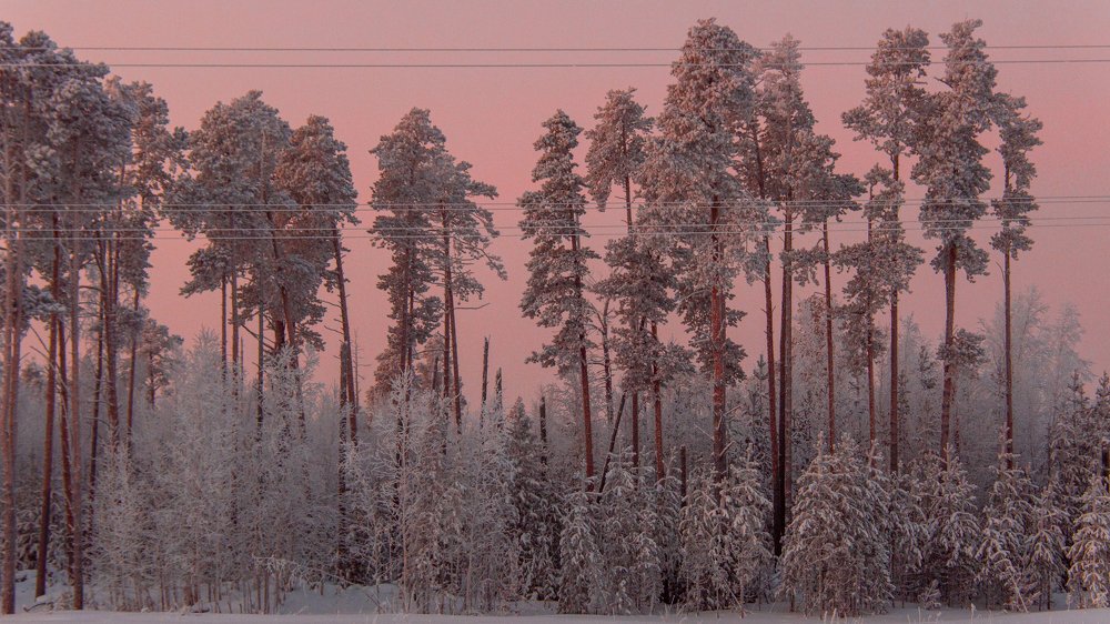 Photograph by Константин Михайлов