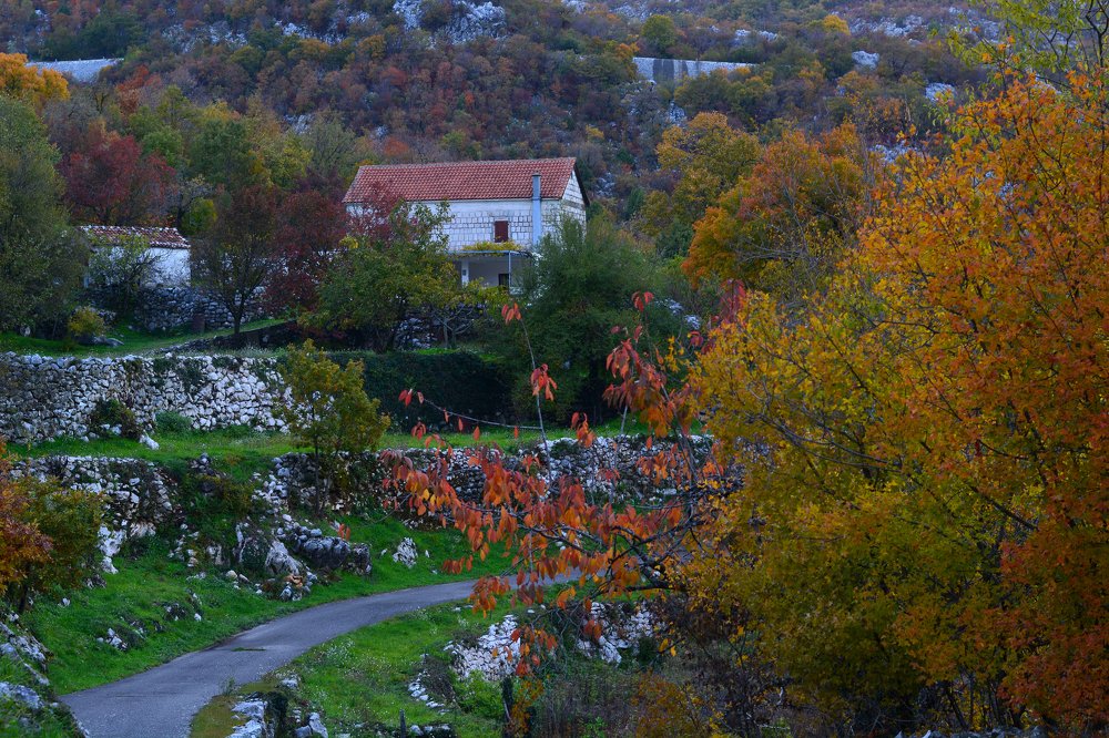 Photograph by Анатолий Орлов