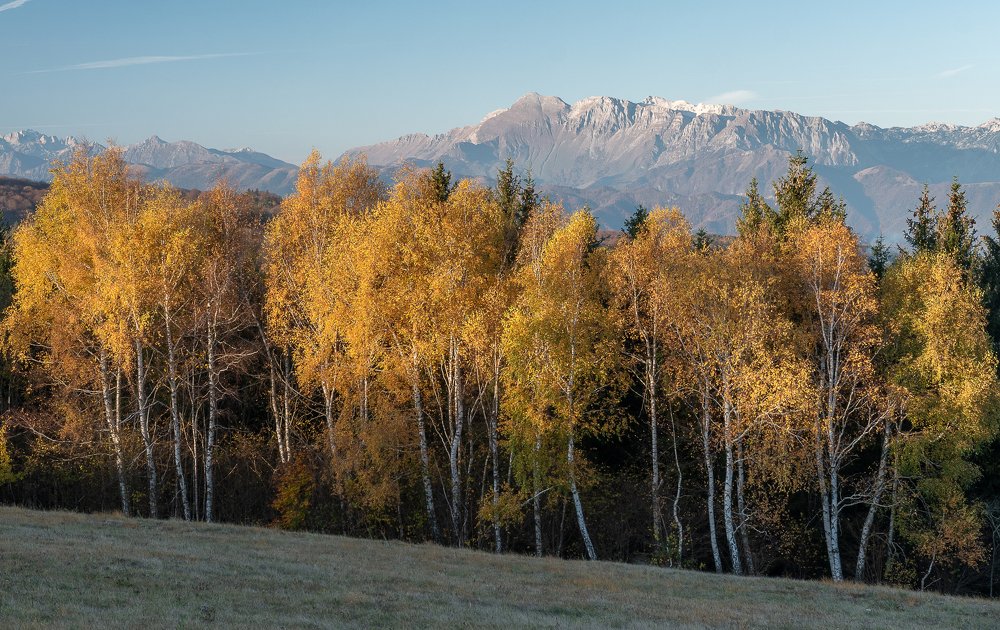 Photograph by Jernej Peljhan