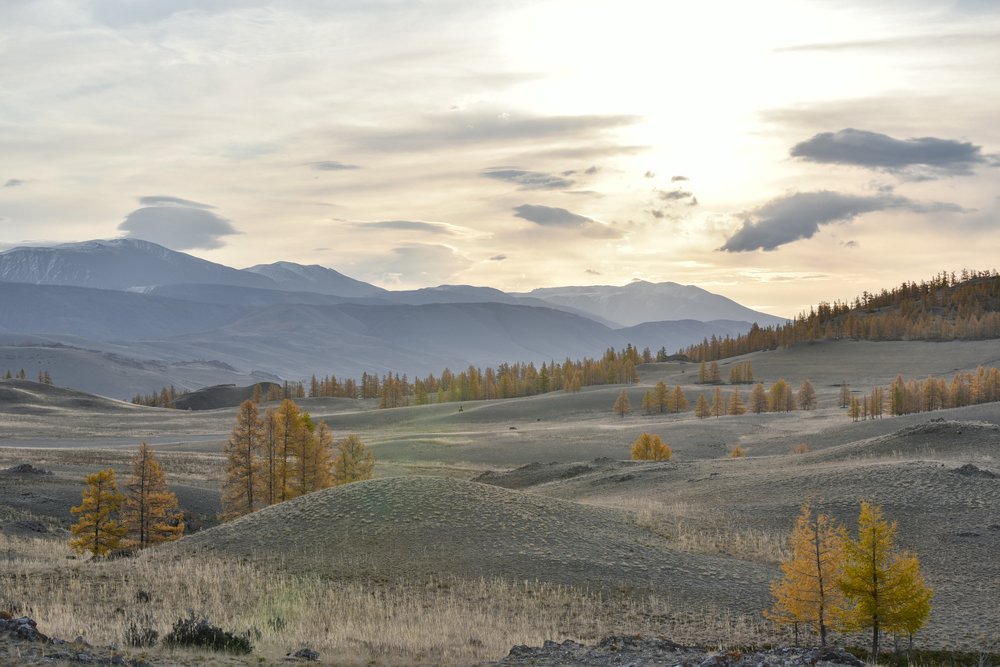 Photograph by Константин Пелых