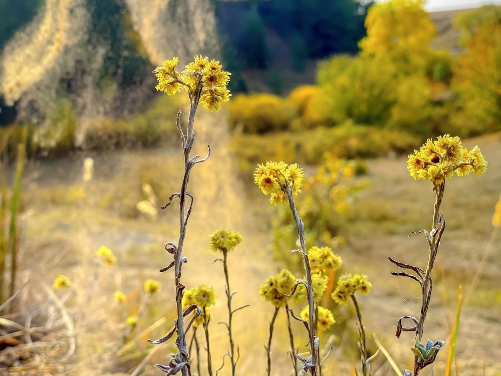 Photograph by Сергей Марченков