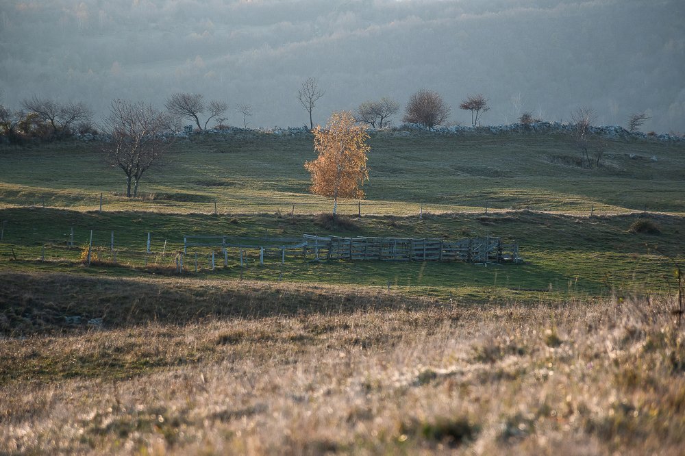 Photograph by Jernej Peljhan