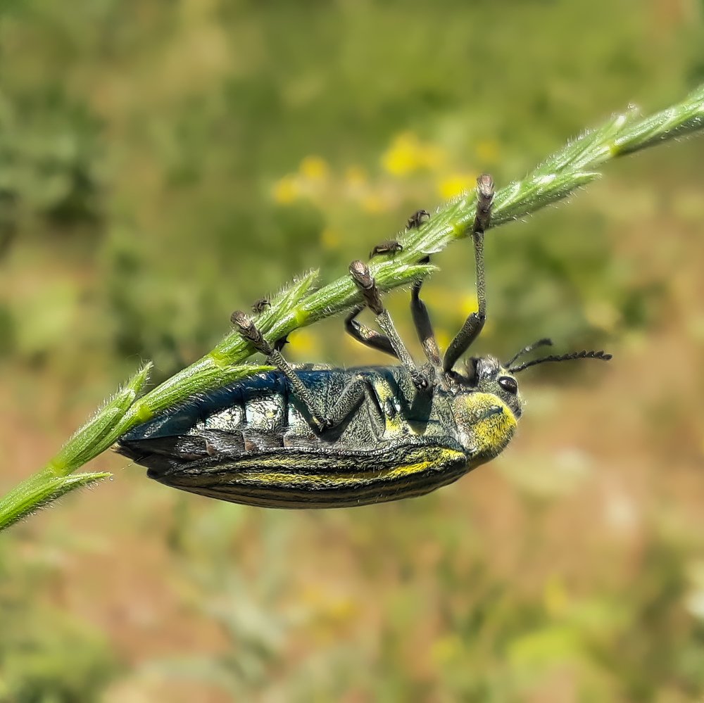 Фотография автора Alipour mohammad