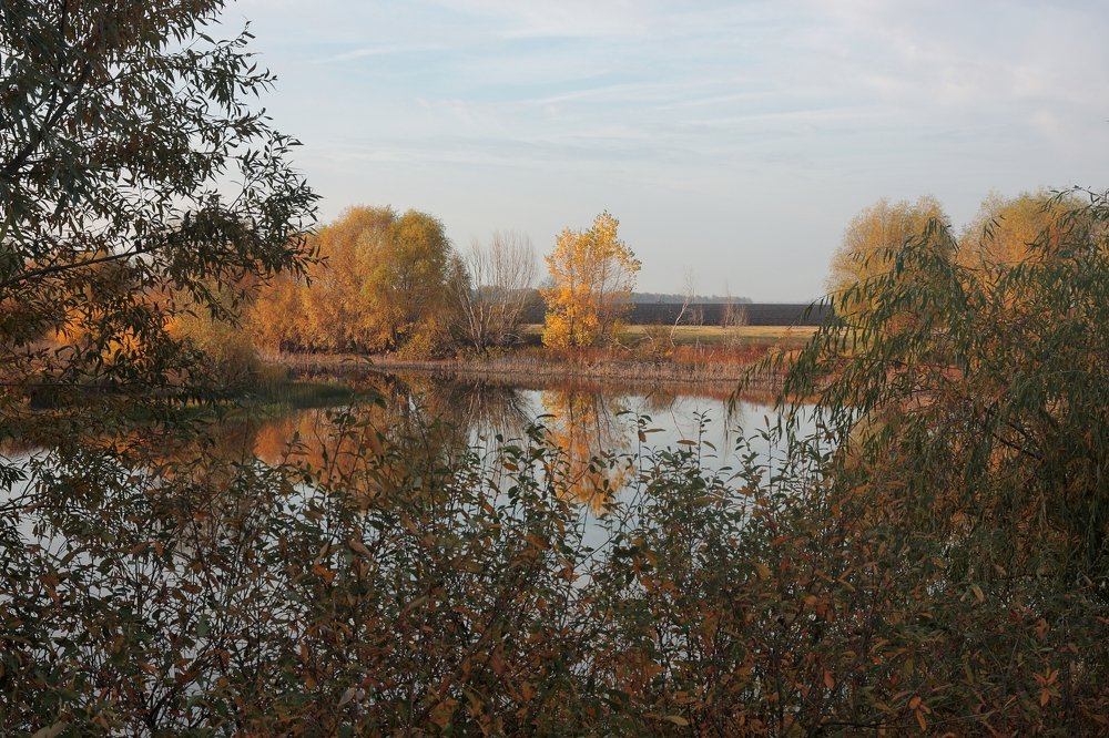 Неизбежность