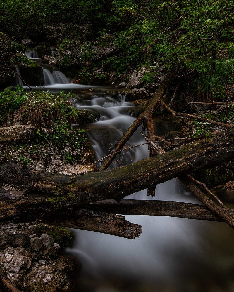 Photograph by Jernej Peljhan